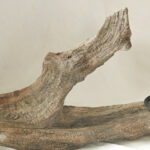 Kunst aus Wurzelholz