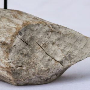 Treibholz Kerzenglas